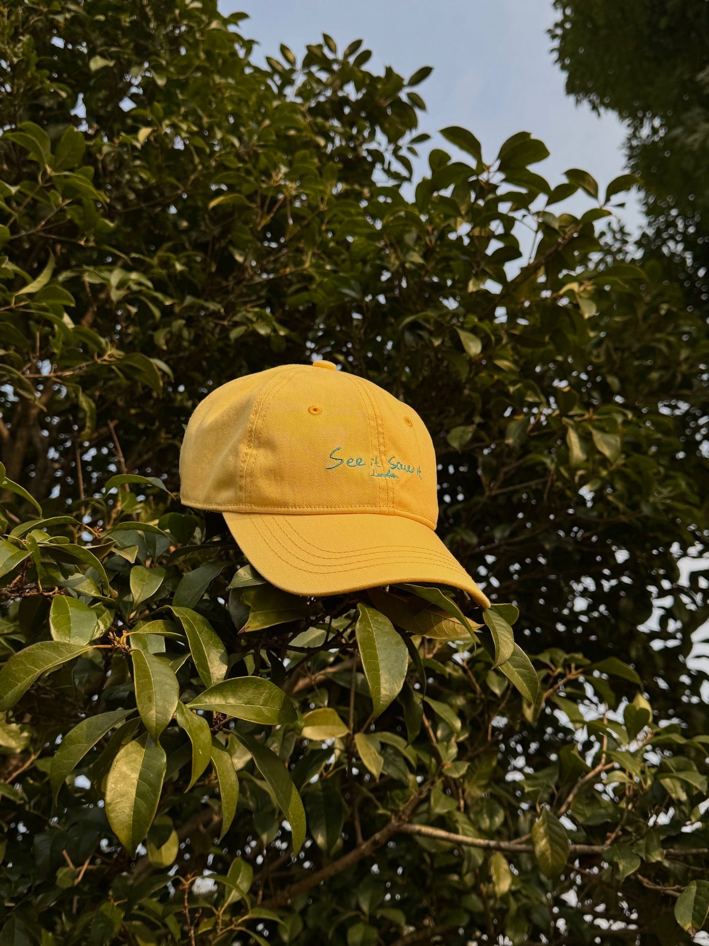 See it saw it - Baseball cap
