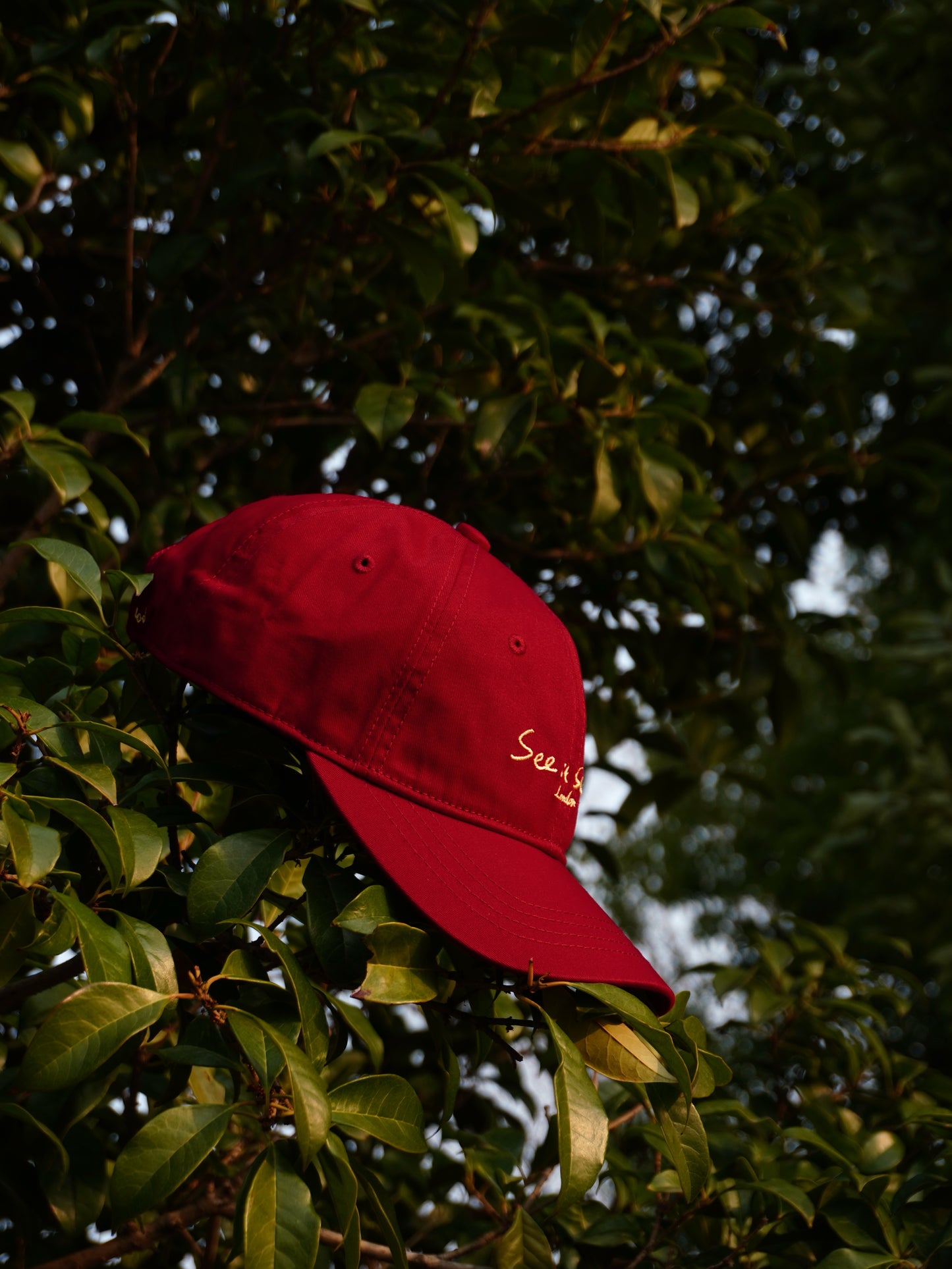 See it saw it - Baseball cap