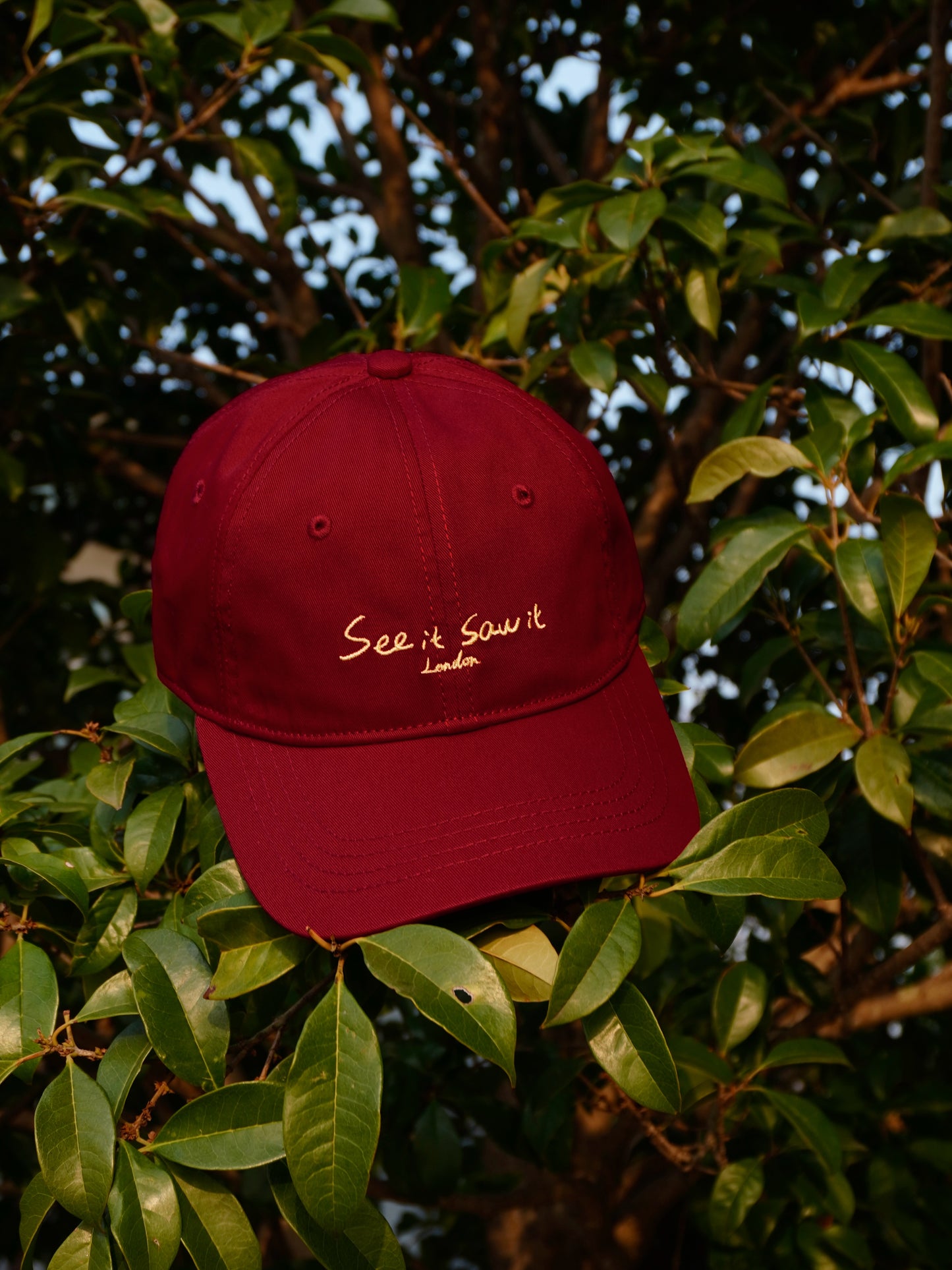 See it saw it - Baseball cap