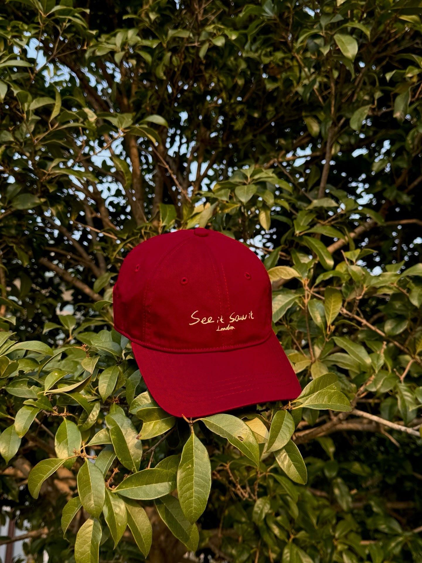 See it saw it - Baseball cap